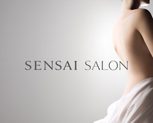 sm_vi_salon1 
